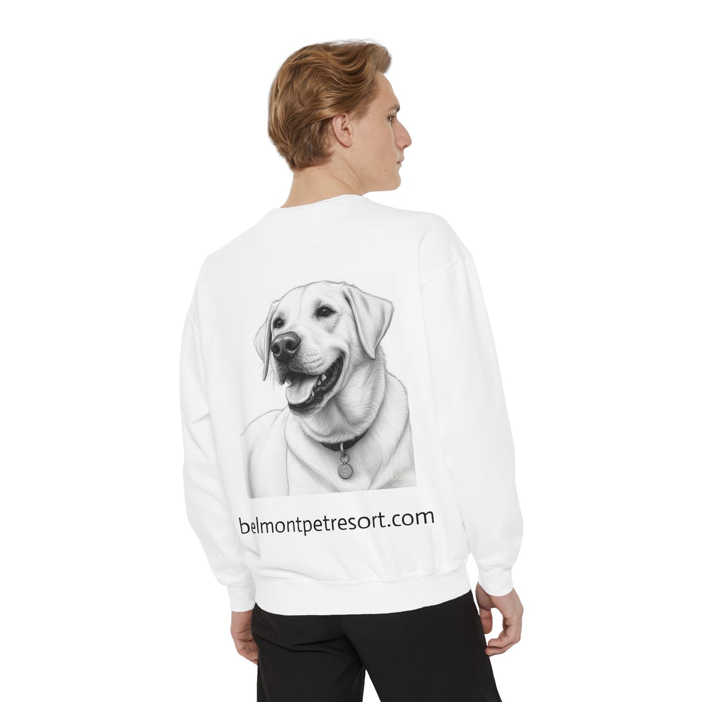 Dag Books - Unisex Prayer and Pet-Inspired Sweatshirt, Faith Apparel, Dog Lover Gift, Cozy Casual Wear, Unique Sweatshirt, Everyday Comfort